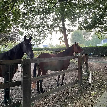 Apartamento Tiny House *