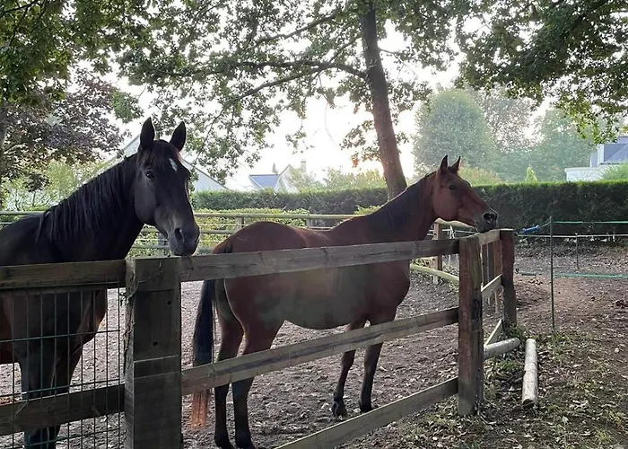 Apartmán Tiny House *